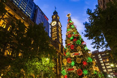 Best 20 Christmas trees around the World