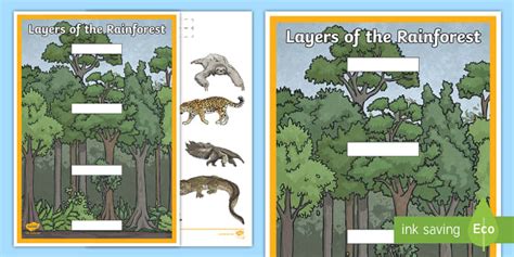 Layers of the Rainforest Habitat Cut and Stick Activity