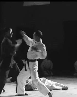 ILLMATIC ॐHALFLIFE — May one of my amazing followers please Photoshop... | Martial arts workout ...