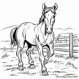 Horse Farm Coloring Pages  Free & Printable sketch template