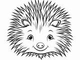 Porcupine Coloring Pages Top 57 Free Printable Designs sketch template