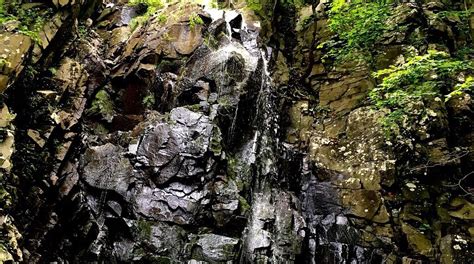 Visit Palisades: Best of Palisades Tourism | Expedia Travel Guide