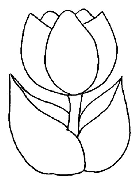 Tulip coloring pages to download and print for free