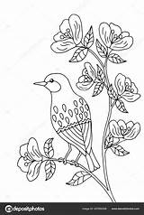 Bird Sitting On A branch coloring Page Stock Vector By ©elvirkindom  sketch template