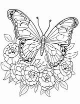 50 Butterfly Coloring Pages Free Printable Sheets sketch template