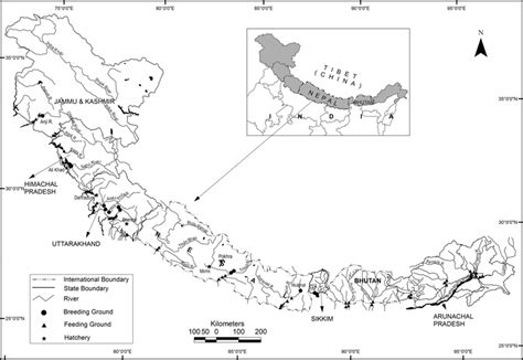 Important feeding and spawning habitats of Golden mahseer in Himalyan... | Download Scientific ...