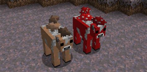 Minecraft Mobs Explored: Mooshroom, A Cow That Features Mushrooms On It ...