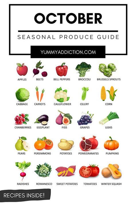 A seasonal produce guide highlighting fruits and vegetables that are at their best in Oct ...