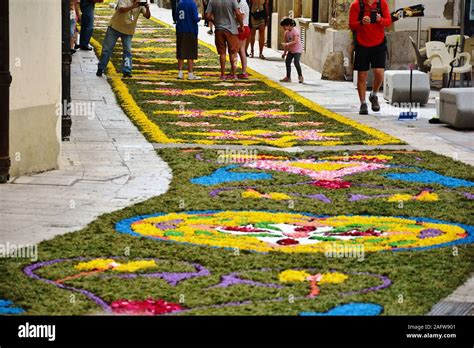 Street decorated with flowers at the Corpus Christi festival Stock Photo - Alamy