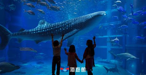 โอซาก้า・ไคยูคัง | Osaka Aquarium KAIYUKAN