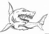 Cute Hammerhead Shark Coloring Page sketch template