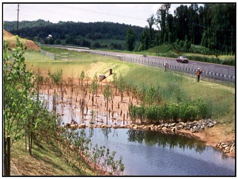 Stormwater Wetlands | CT Stormwater Quality Manual