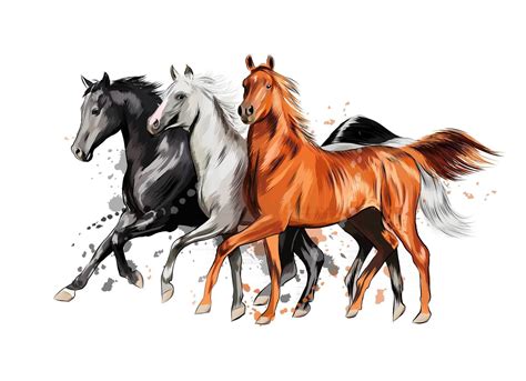 Three horses run gallop from a splash of watercolor, hand drawn sketch. Vector illustration of ...