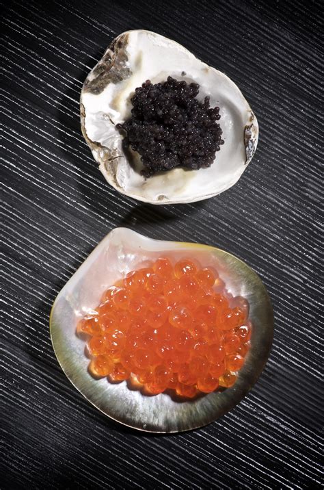 File:Caviar - beluga and salmon.jpg - Wikipedia
