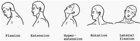 Flexion Extension Hyper-extension Rotation Lateral flexion | Hand ...