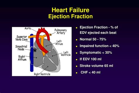 Low Ejection Fraction Heart Failure