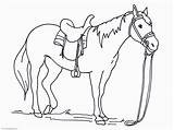 Big Printable Coloring Pages Horses  For All Ages sketch template