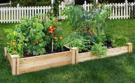 35 Advantageous Small Vegetable Garden Ideas for Your Backyard - Home & DIY Ideas | Garden ...