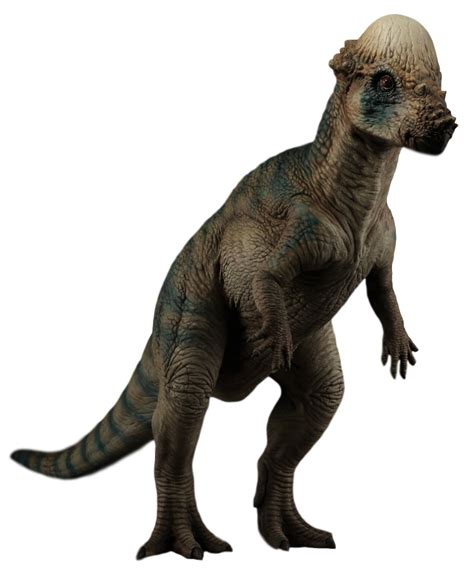 Pachycephalosaurus | Jurassic Park Wiki | Fandom