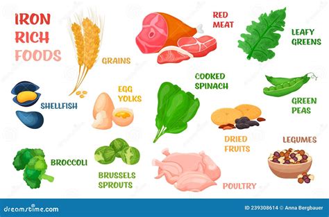 Iron-Rich Foods Poster Cartoon Vector | CartoonDealer.com #114574409