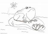 Pond Coloring Pages Cute Frog  Free Printable sketch template