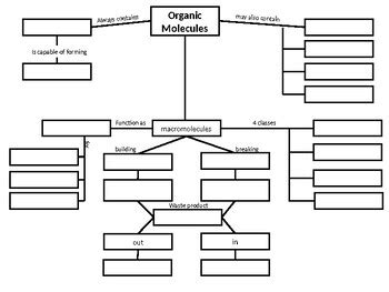 Concept Maps: Macromolecules by Posology for Biology | TpT