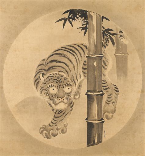 Japanese Tiger Drawing