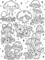 6 Free Mushroom Coloring Pages sketch template