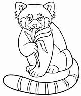 Red Panda Coloring Pages Clipart Free Printable sketch template