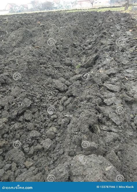 Black soil stock photo. Image of fertile, black, nature - 133787946