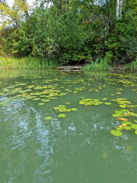 Kayaking in the lagoon : r/Kayaking