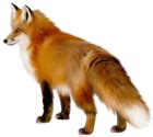 Transparent Fox Clipart | Gallery Yopriceville - High-Quality Images ...