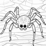 Premium Photo  Black And White coloring Picture Of A trapdoor spider sketch template