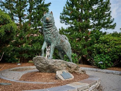 There's a New UConn Husky Mascot In Storrs — Jonathan XV | Mansfield ...