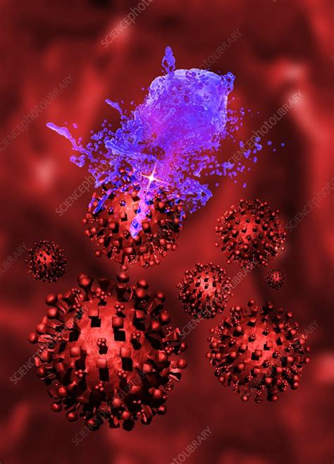 Medical nanorobots, artwork - Stock Image - F004/9072 - Science Photo Library