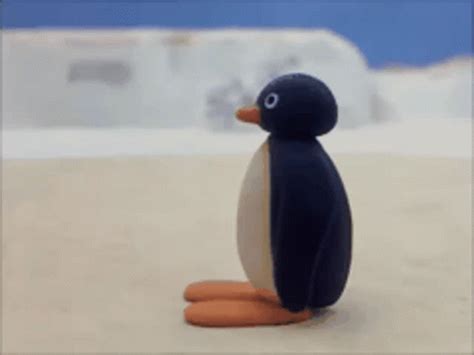 Pingu Noot Noot Gif Pingu Noot Noot Penguin Descubre Comparte Gifs | My XXX Hot Girl