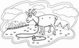 Three Billy Goats Gruff Coloring Pages sketch template
