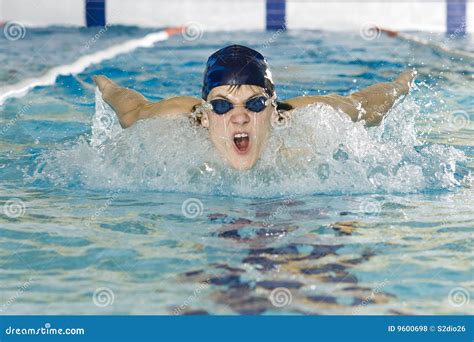 Butterfly stock photo. Image of effort, arms, swimmer - 9600698