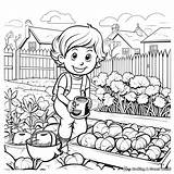 Garden Coloring Pages  Free & Printable sketch template