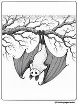 12 Realistic Bat Coloring Pages  Free Printable PDFs sketch template