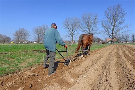 To Till or Not to till? Can Tilling Be Bad For Your Soil?