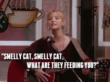 Friends 20th anniversary GIFs: How you doin', Smelly Cat?