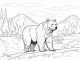 Adult Coloring Cinnamon Bear Edition  Page sketch template
