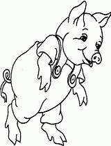 Free Printable Pig Coloring Pages For Kids sketch template