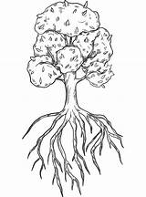Tree with Roots coloring Page  ColouringPages sketch template