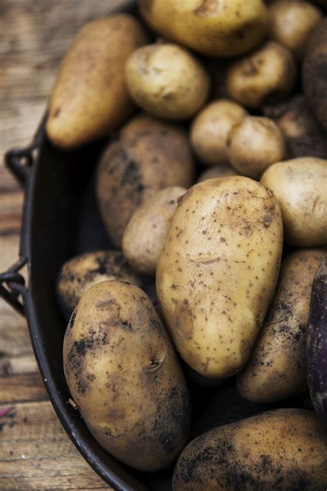 Closeup of fresh organic potatoes | Free Photo - rawpixel