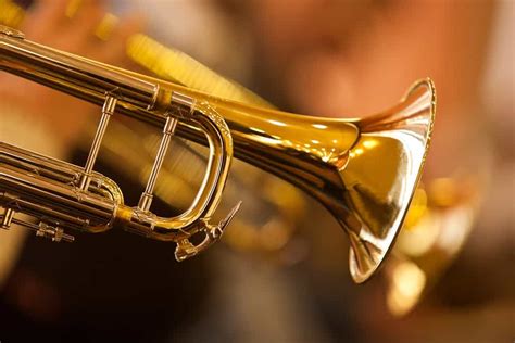 9 Different Types of Trumpets (Plus Interesting Facts)