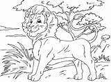 Lion Coloring Pages  Kidsuki sketch template