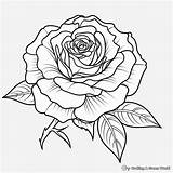 Realistic Rose Coloring Pages  Free & Printable sketch template