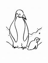 Penguin coloring Page sketch template